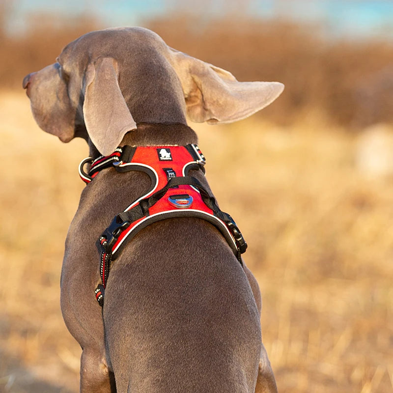 Truelove Reflective Adjustable Nylon Dog Harness For Walking