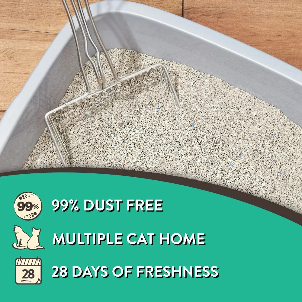 Special Kitty Clumping Clay Cat Litter Fresh Scent Odor Control