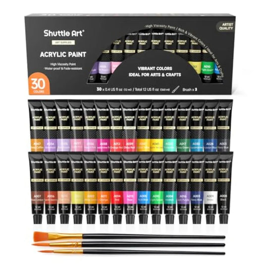 Acrylic Paint Set, 30 x12ml Tubes Artist Quality Non Toxic Rich Pigments Colors Great for Adults Professional Painting on Rocks