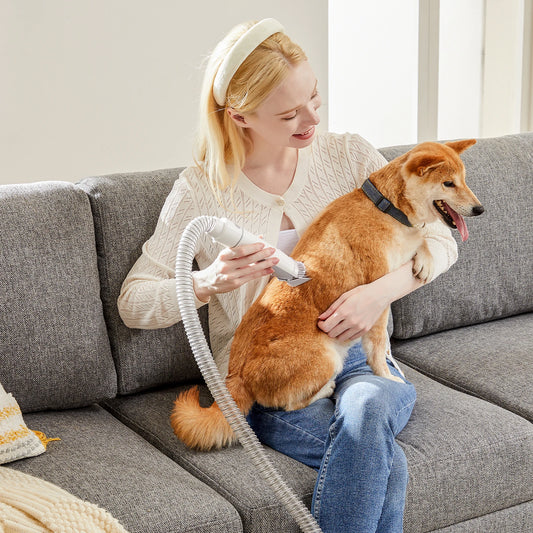Professional Cordless Pet Grooming Vacuum Kit With Clippers