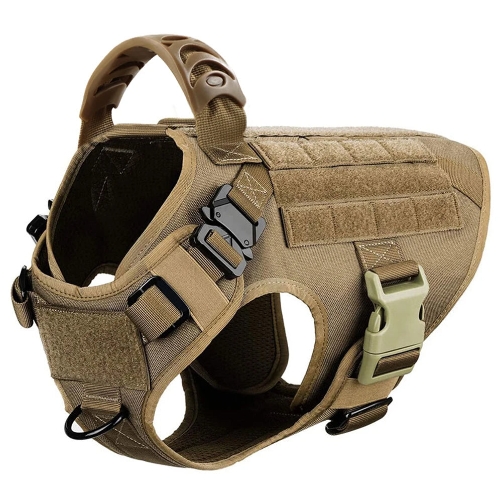 Durable Nylon Dog Harness And Leash Set For Daily Walks