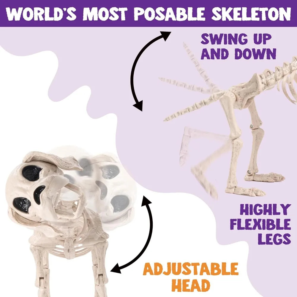 Realistic Posable Halloween Dog Skeleton With Movable Joints
