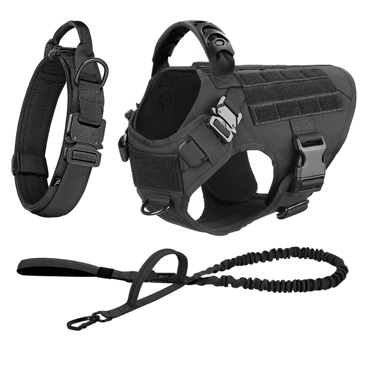 Durable Nylon Dog Harness And Leash Set For Daily Walks