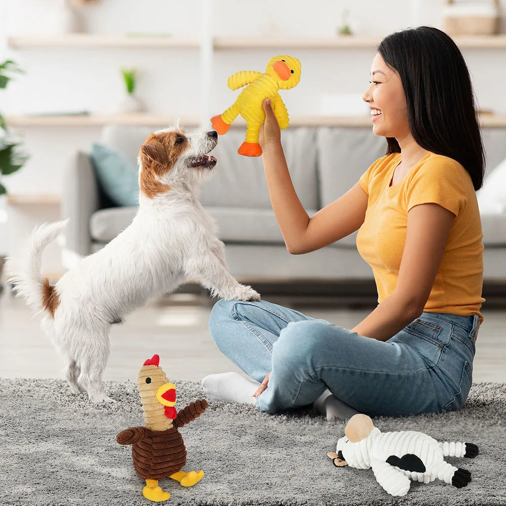 5 Pack Plush Squeaky Dog Toys, Stuffed Animal Chew Toys