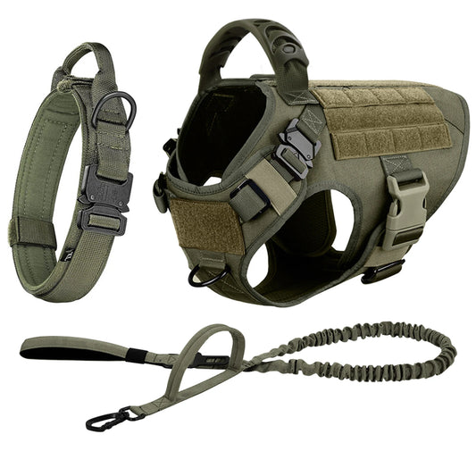Durable Nylon Dog Harness And Leash Set For Daily Walks