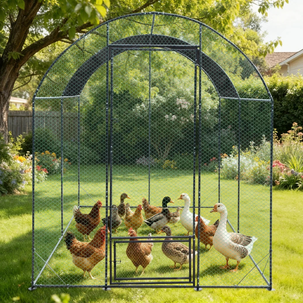 Borwart Outdoor Chicken Coop Cage with Nylon Netting Metal Tubes